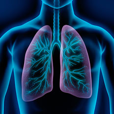 Schematyczne przedstawienie płuc w górnej części ciała.