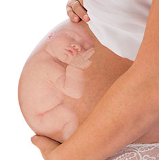 Ungeborenes Baby im Bauch einer Schwangeren.