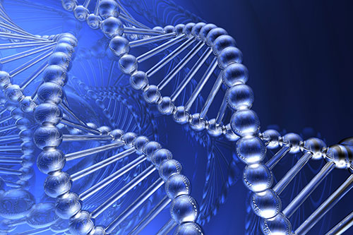 Several DNA strands