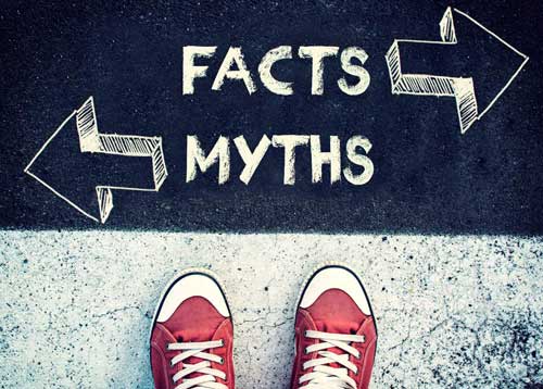 Auf der Straße stehen die Wörter Facts und Myths mit jeweils einem Pfeil, der in die entgegengesetzte Richtung zeigt