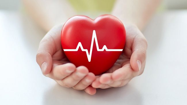 Der internationale Weltherztag am 29. September 2026 ruft dazu auf, die eigene Herzgesundheit frühzeitig in den Blick zu nehmen © lev dolgachov / Fotolia Hände halten ein rotes Herz mit weißer Herzfrequenzlinie.