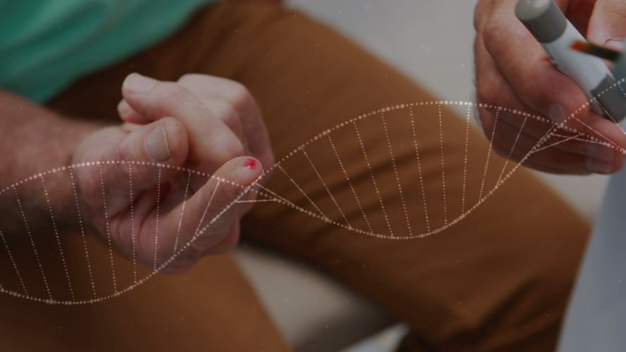 Diabetes Typ 2: Lebensstil beeinflusst Erkrankungsrisiko auch bei hoher genetischer Veranlagung Auf dem Bild ist im Vordergrund eine DNA-Doppelhelix zu erkennen. Im Bildhinteegrund sieht man die Hände einer sitzenden Person, welche gerade blutig ihren Blutzucker misst.